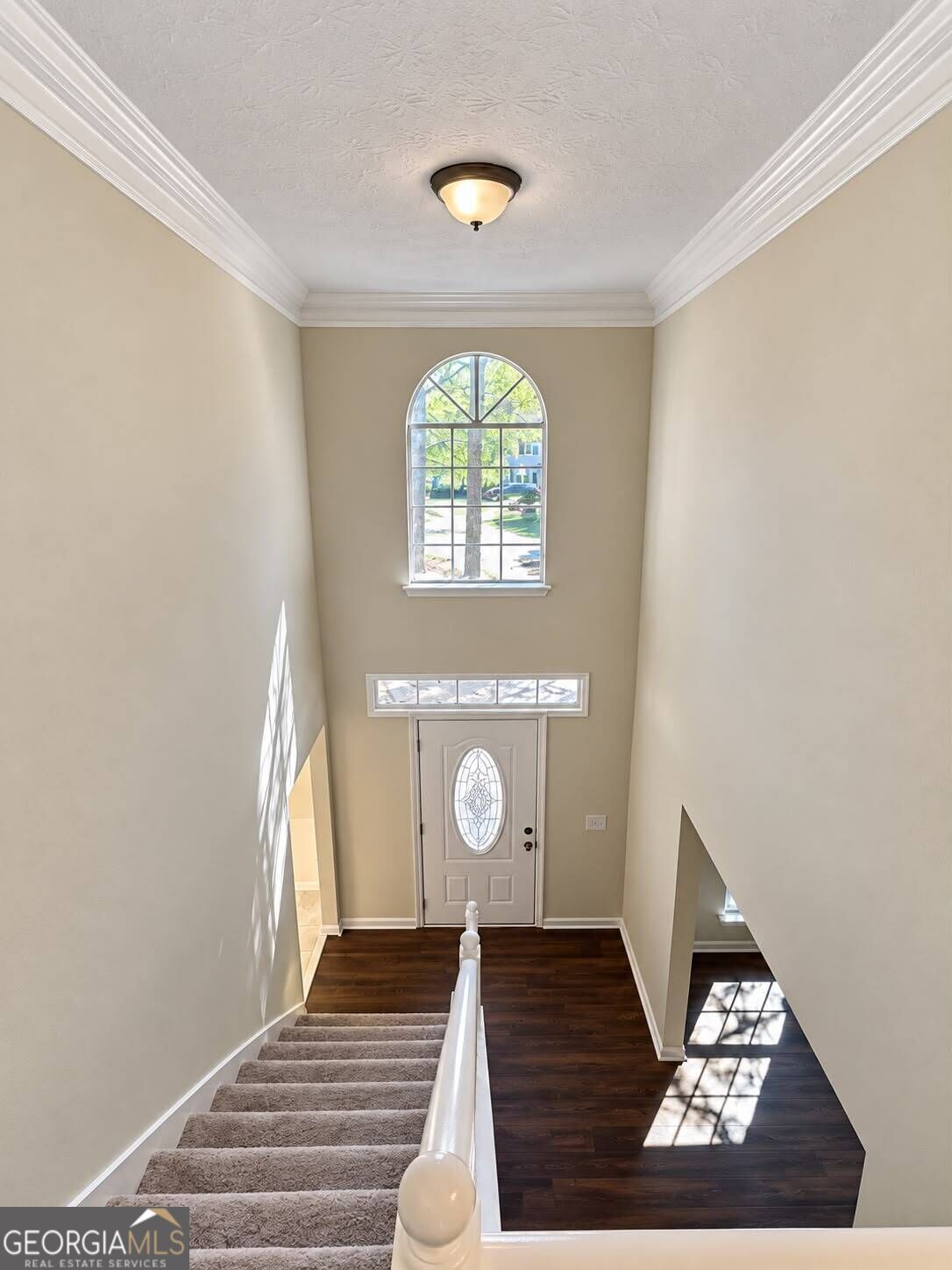 3801 Brittan Glade Trail Property Photo 7