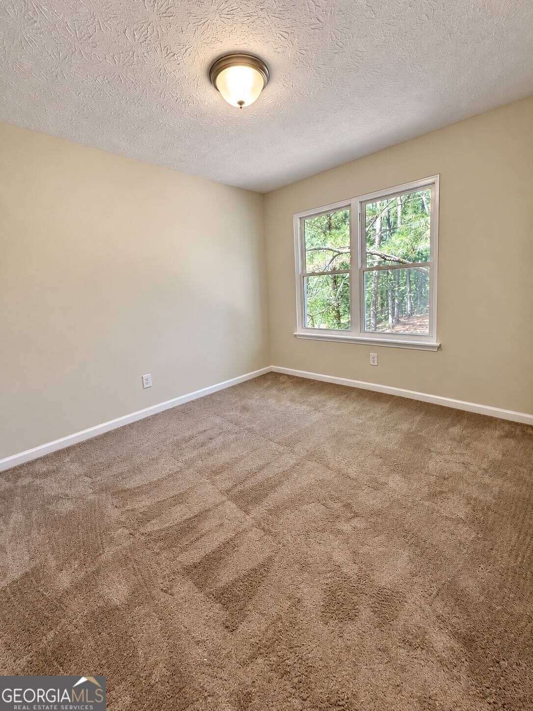 3801 Brittan Glade Trail Property Photo 19