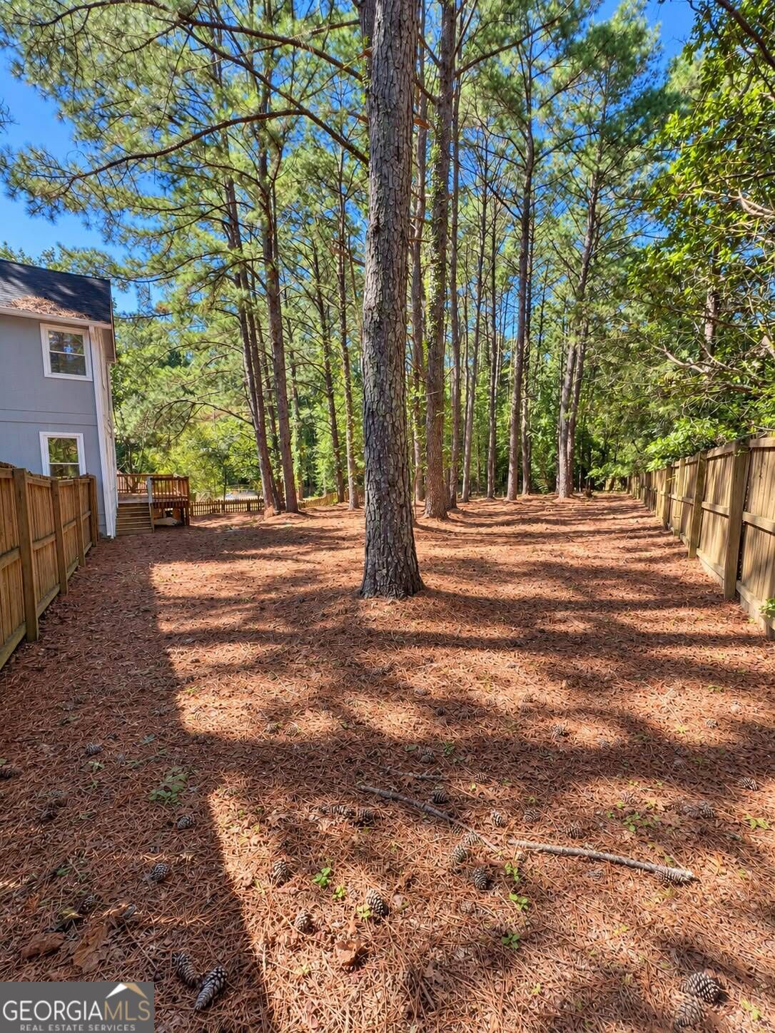3801 Brittan Glade Trail Property Photo 29
