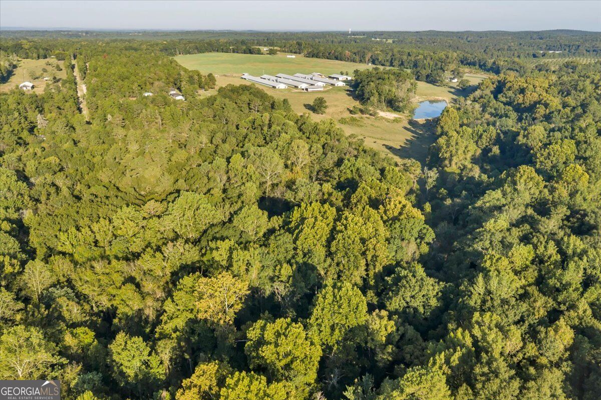 319 Pope Road Property Photo 48