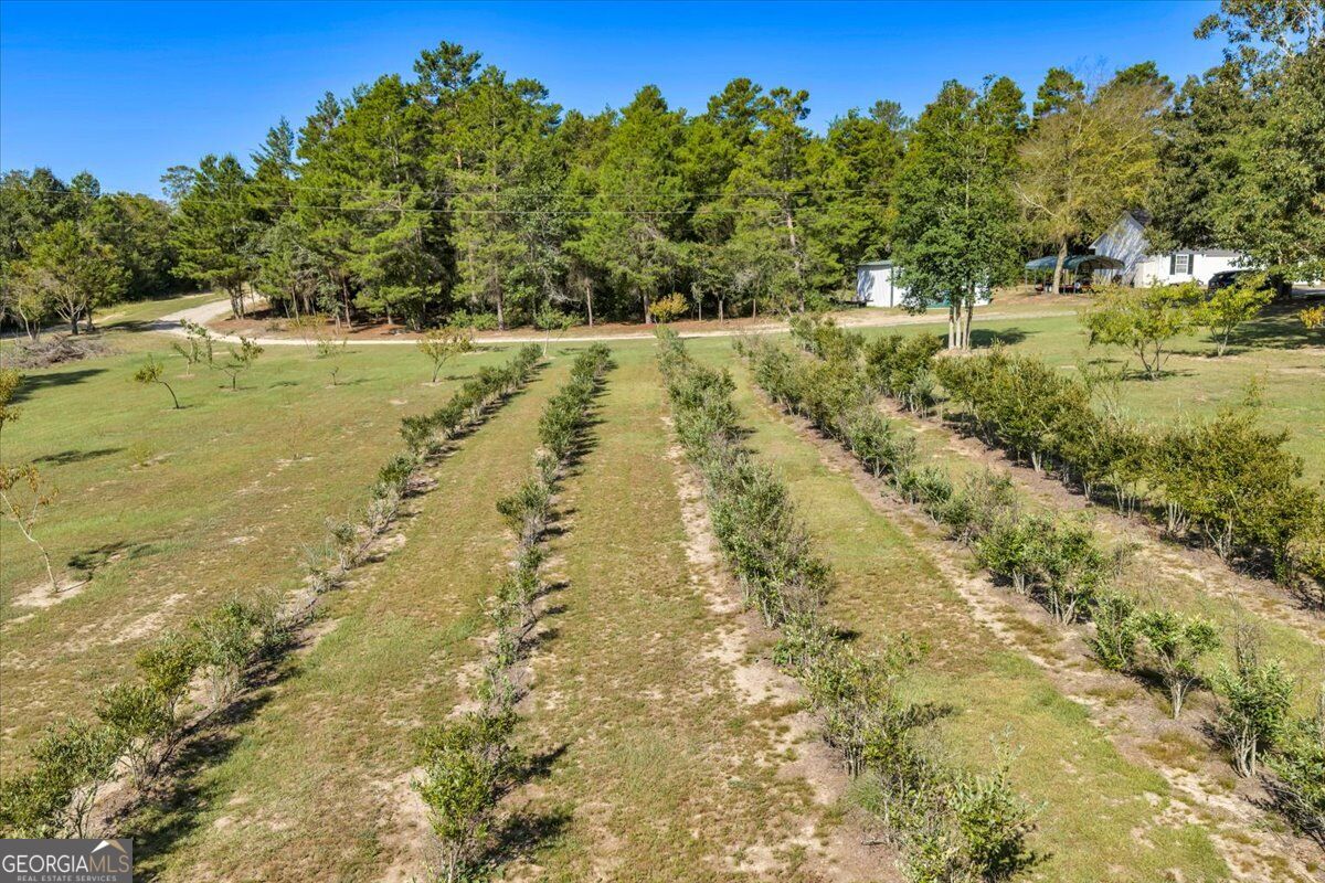 319 Pope Road Property Photo 79