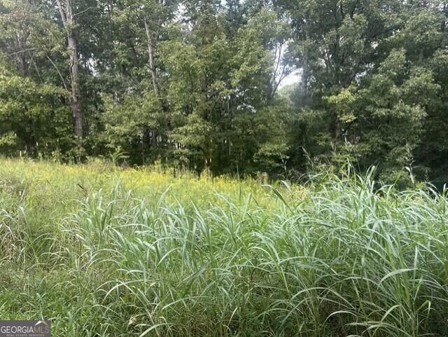 0 Ridge North Drive Property Photo 2