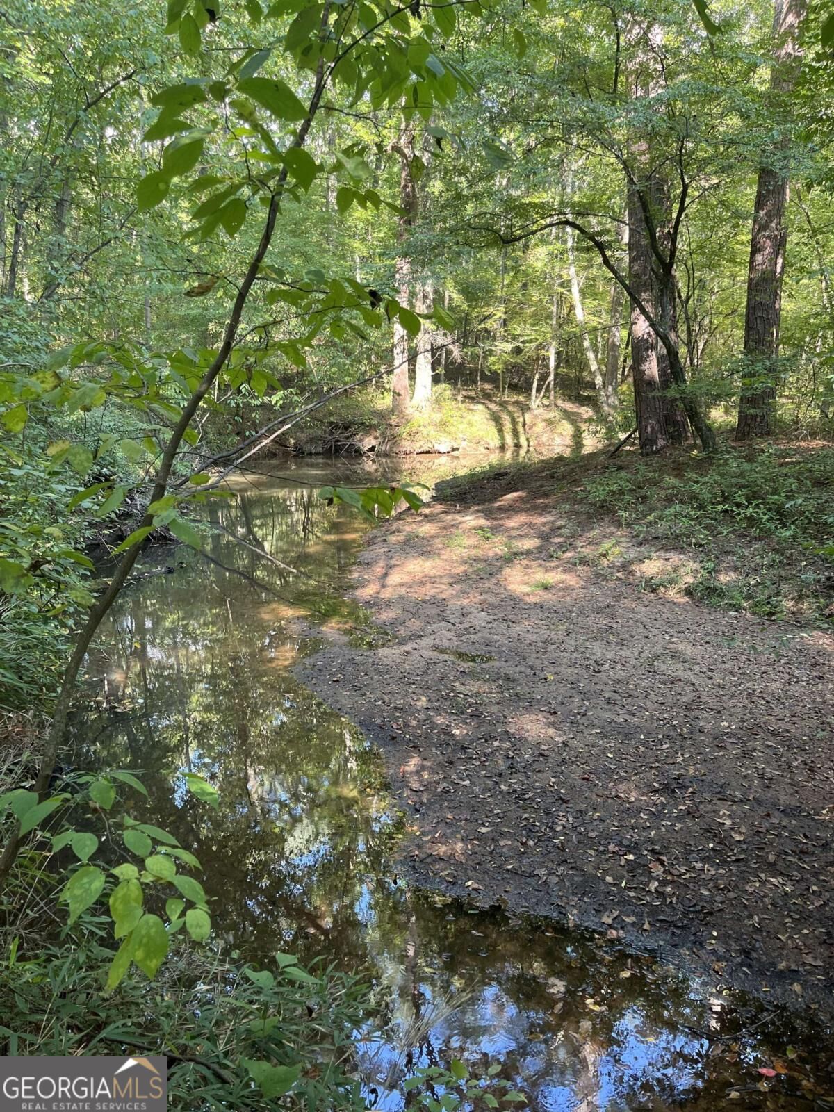 46 Creek Ridge Property Photo 1