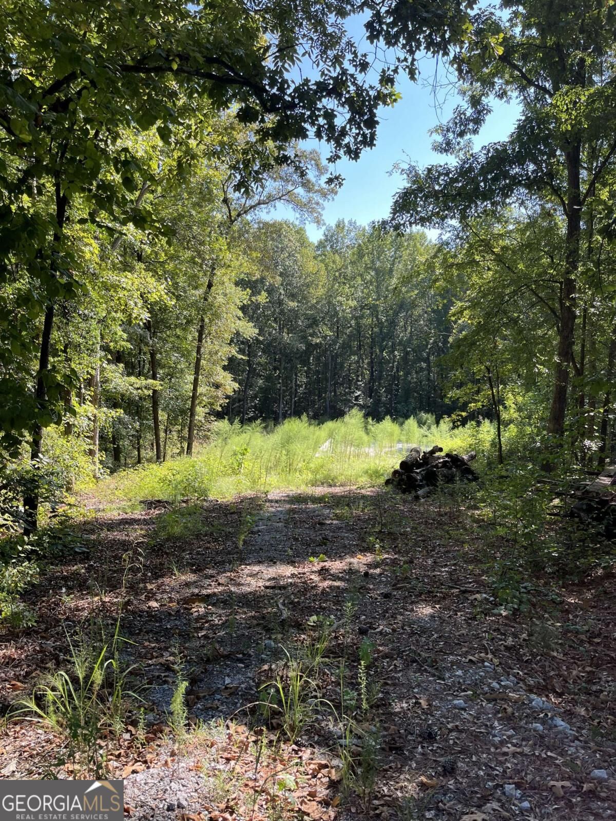 46 Creek Ridge Property Photo 2