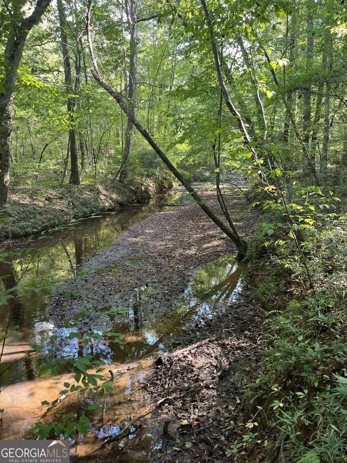 46 Creek Ridge Property Photo 4