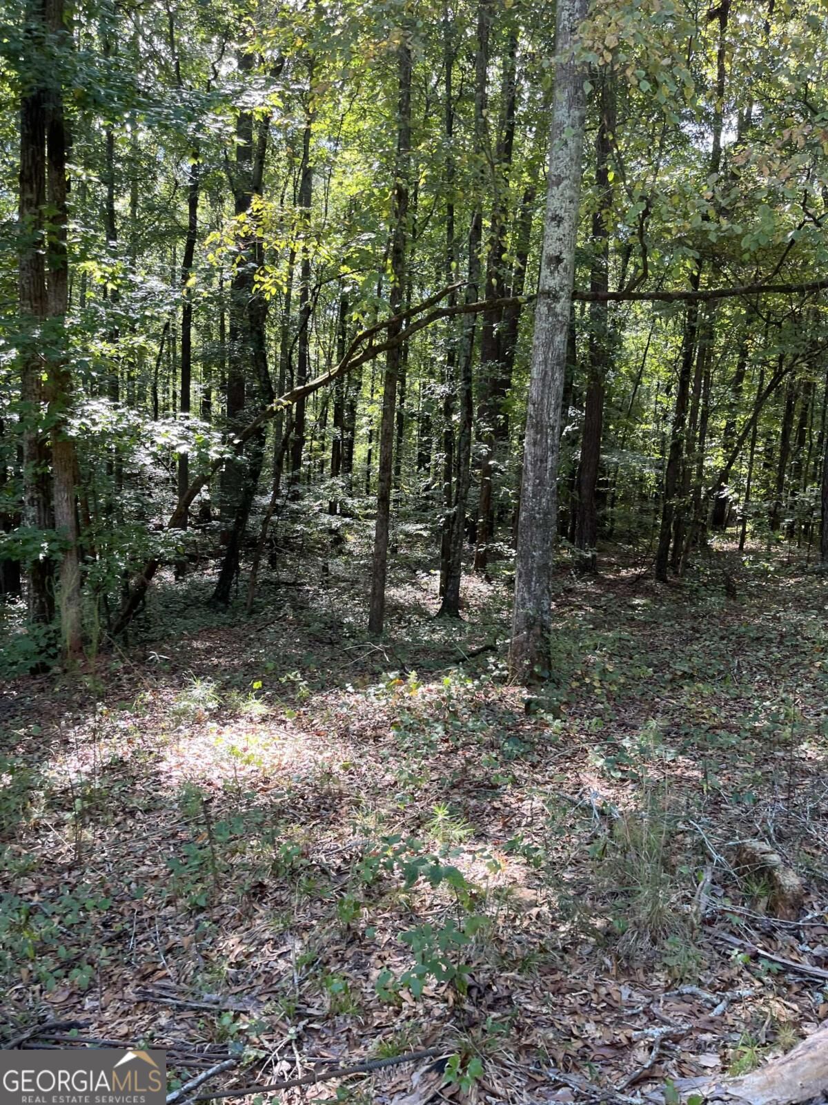 46 Creek Ridge Property Photo 5