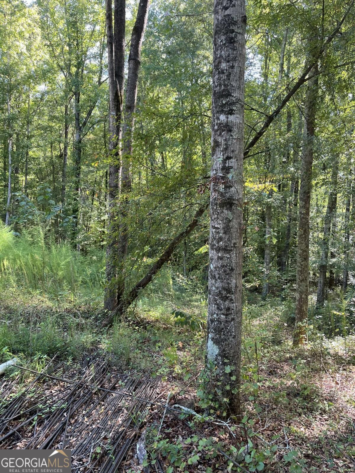 46 Creek Ridge Property Photo 8
