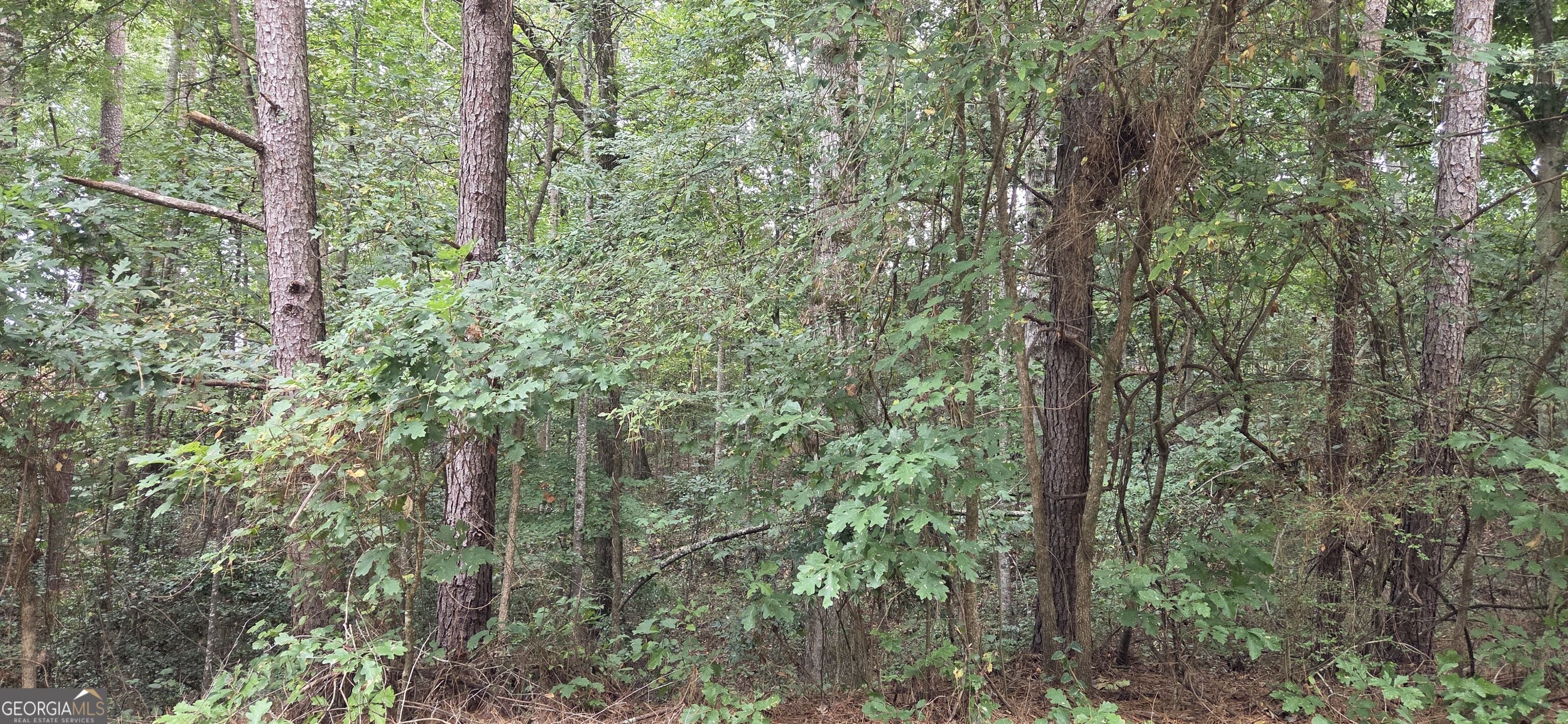 2678 Sleepy Hollow Road Property Photo 1
