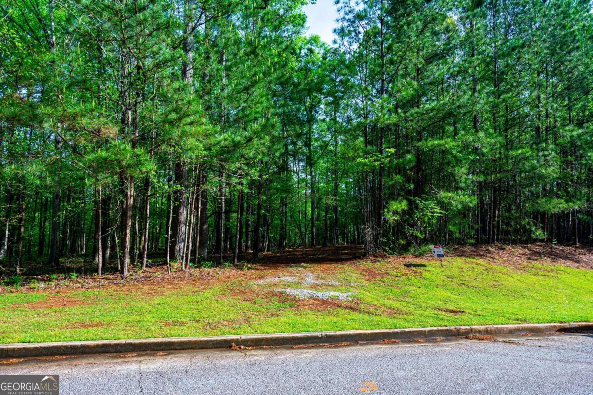 0 River Club Property Photo 10