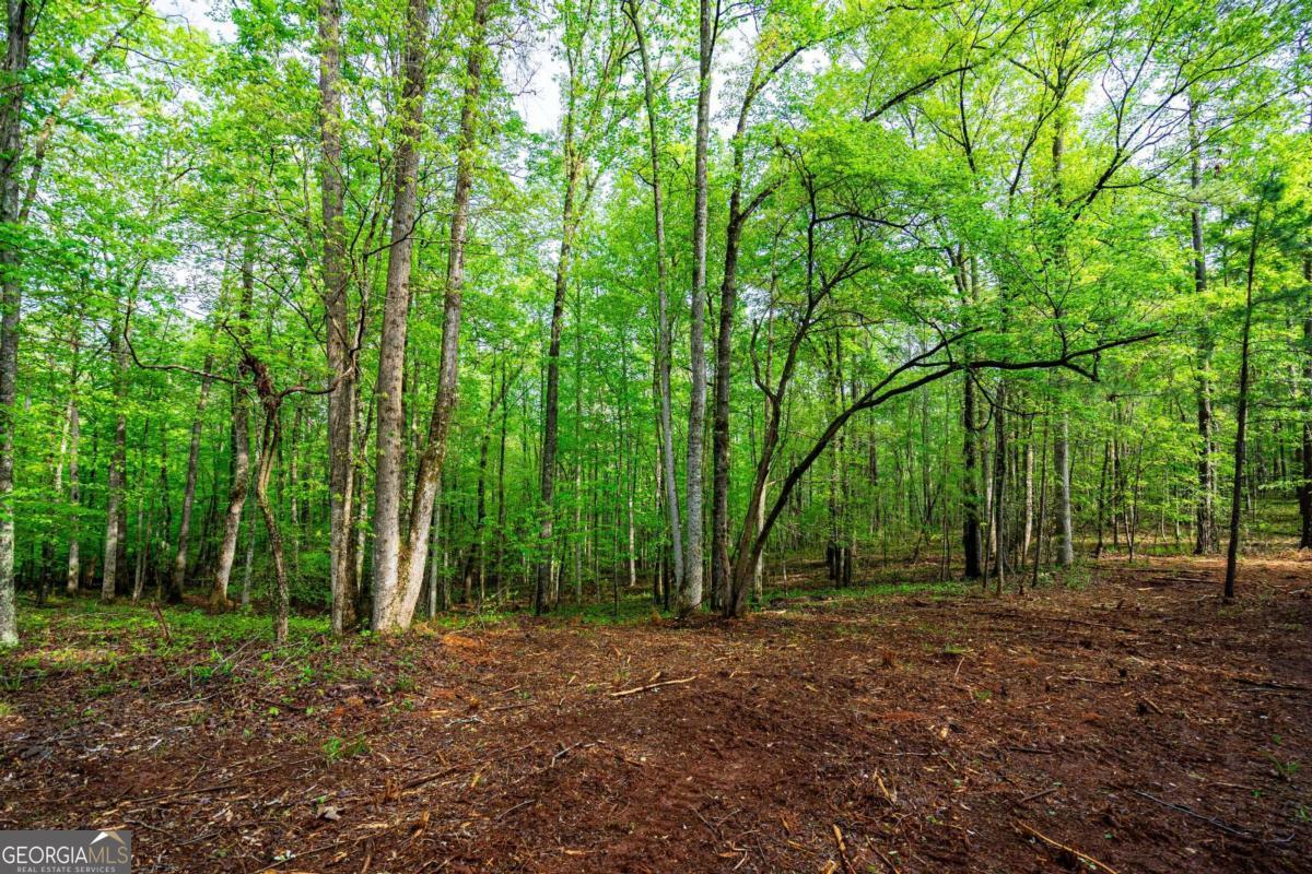 0 River Club Property Photo 13