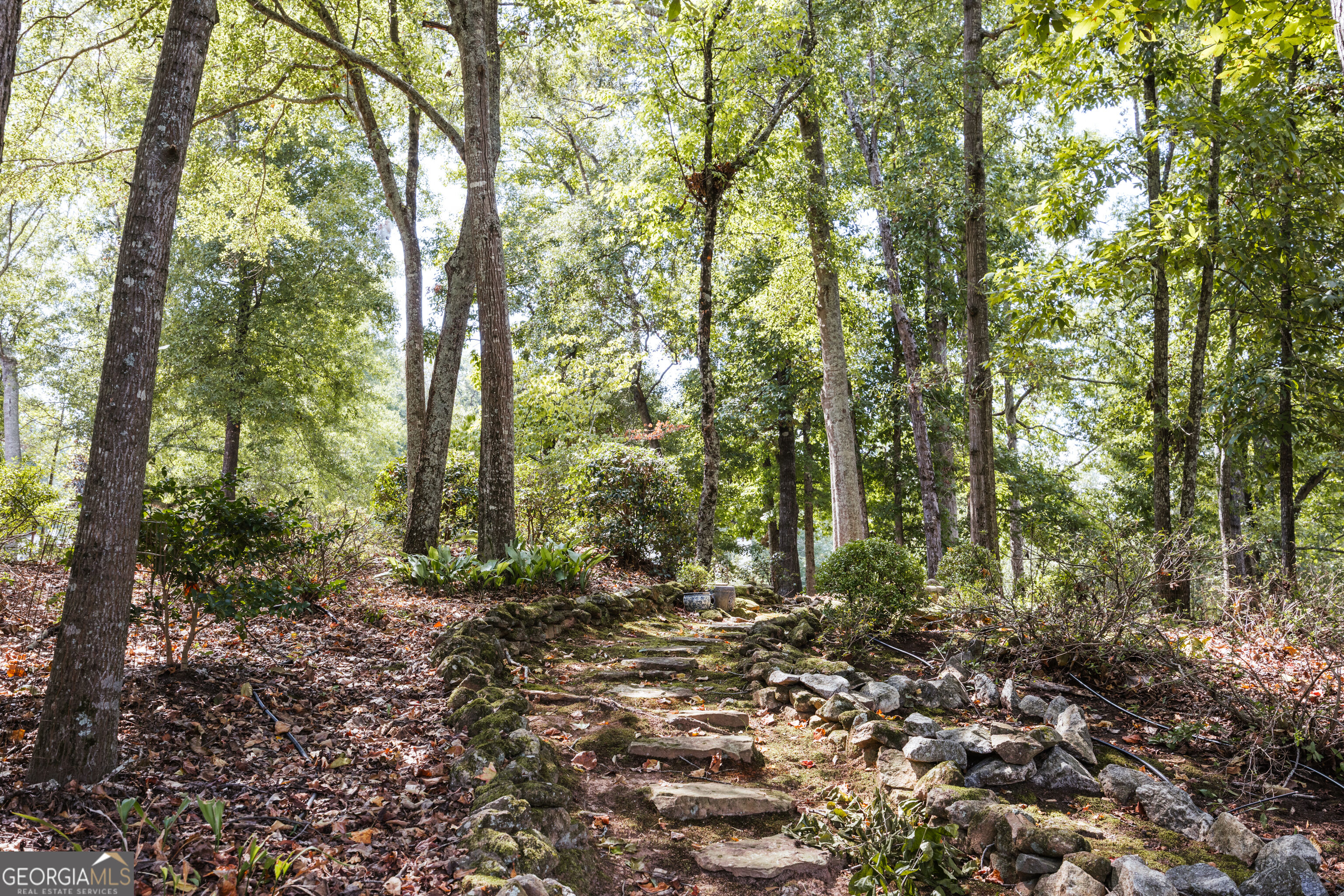 1031 Millers Lake Drive Property Photo 52