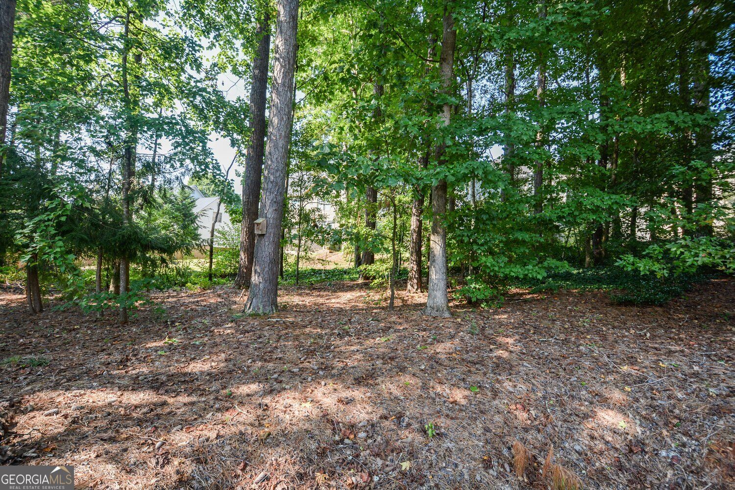 2429 Camden Lake View Nw Property Photo 46