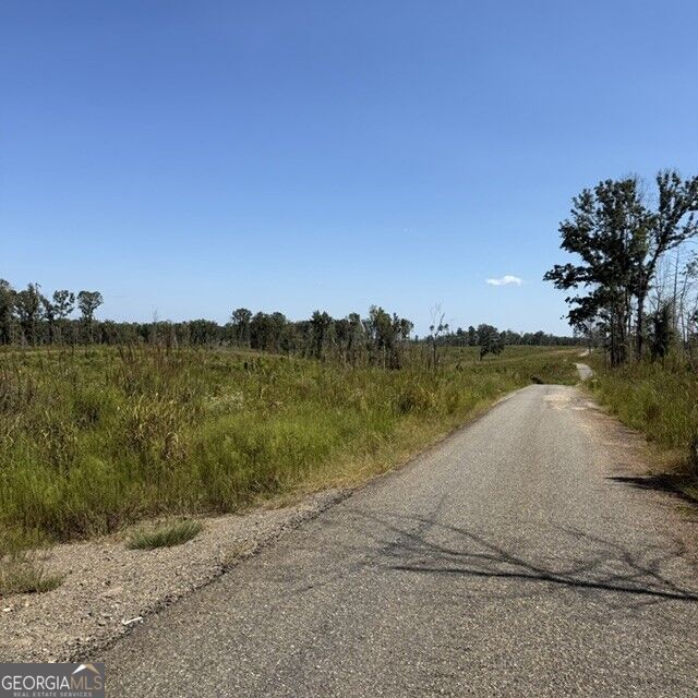 76 +/- Acres On Gibson Road Property Photo 1