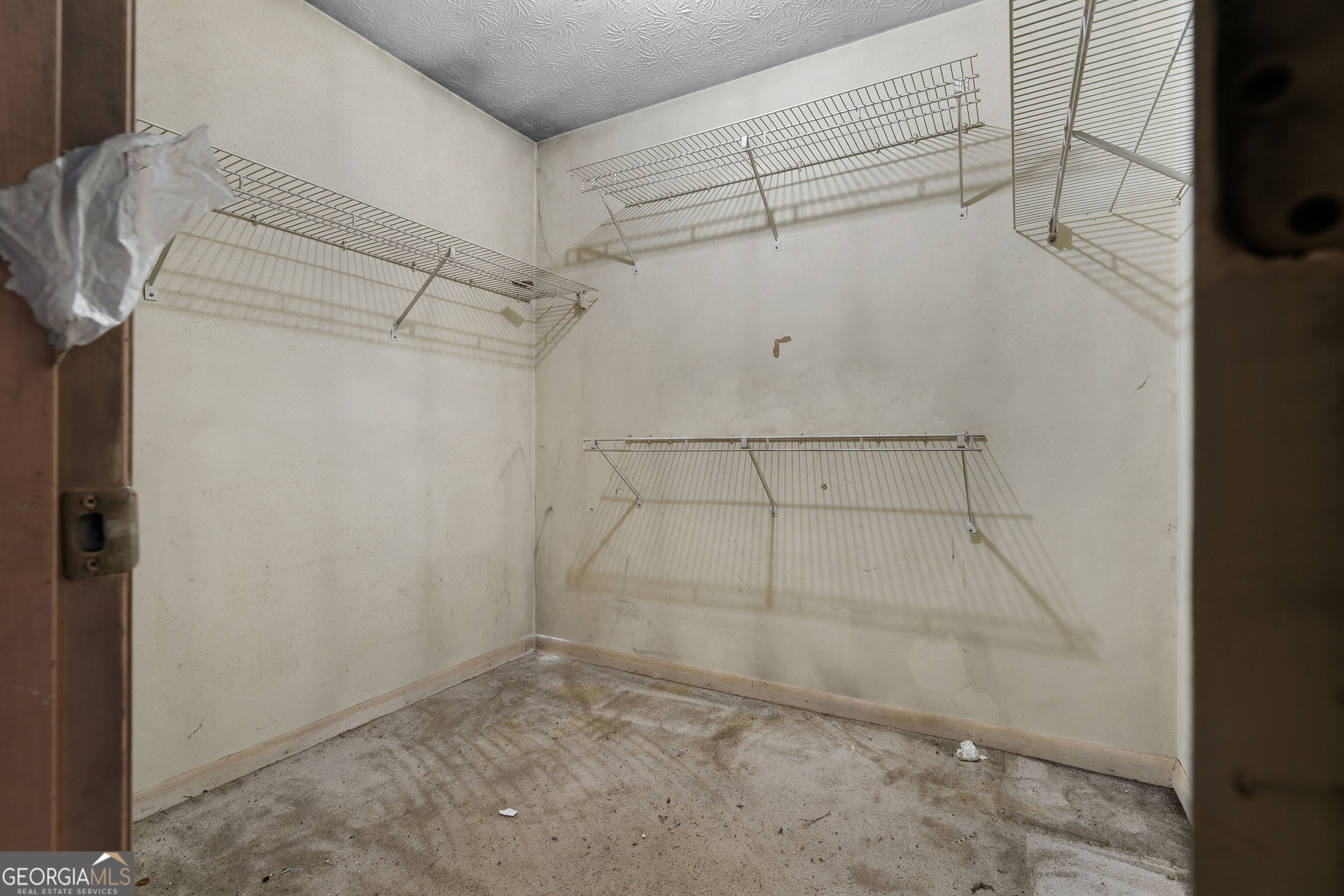 111 Candy Circle Property Photo 12