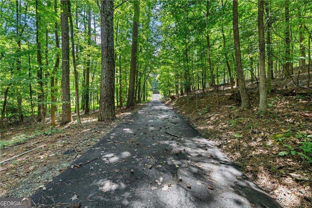 1860 Buford Dam Road Property Photo 7