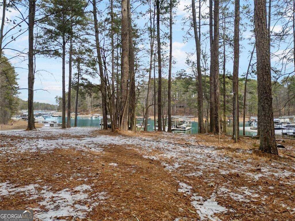 1860 Buford Dam Road Property Photo 8