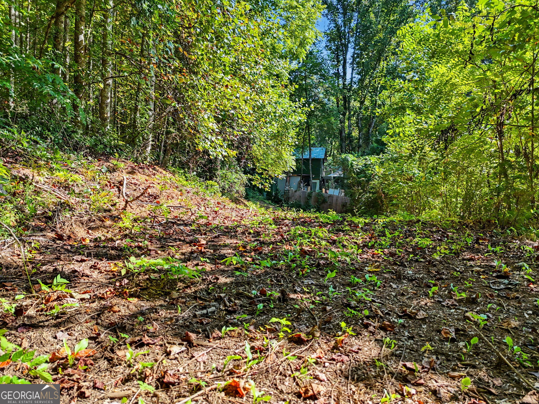 5093 Wolffork Road Property Photo 57