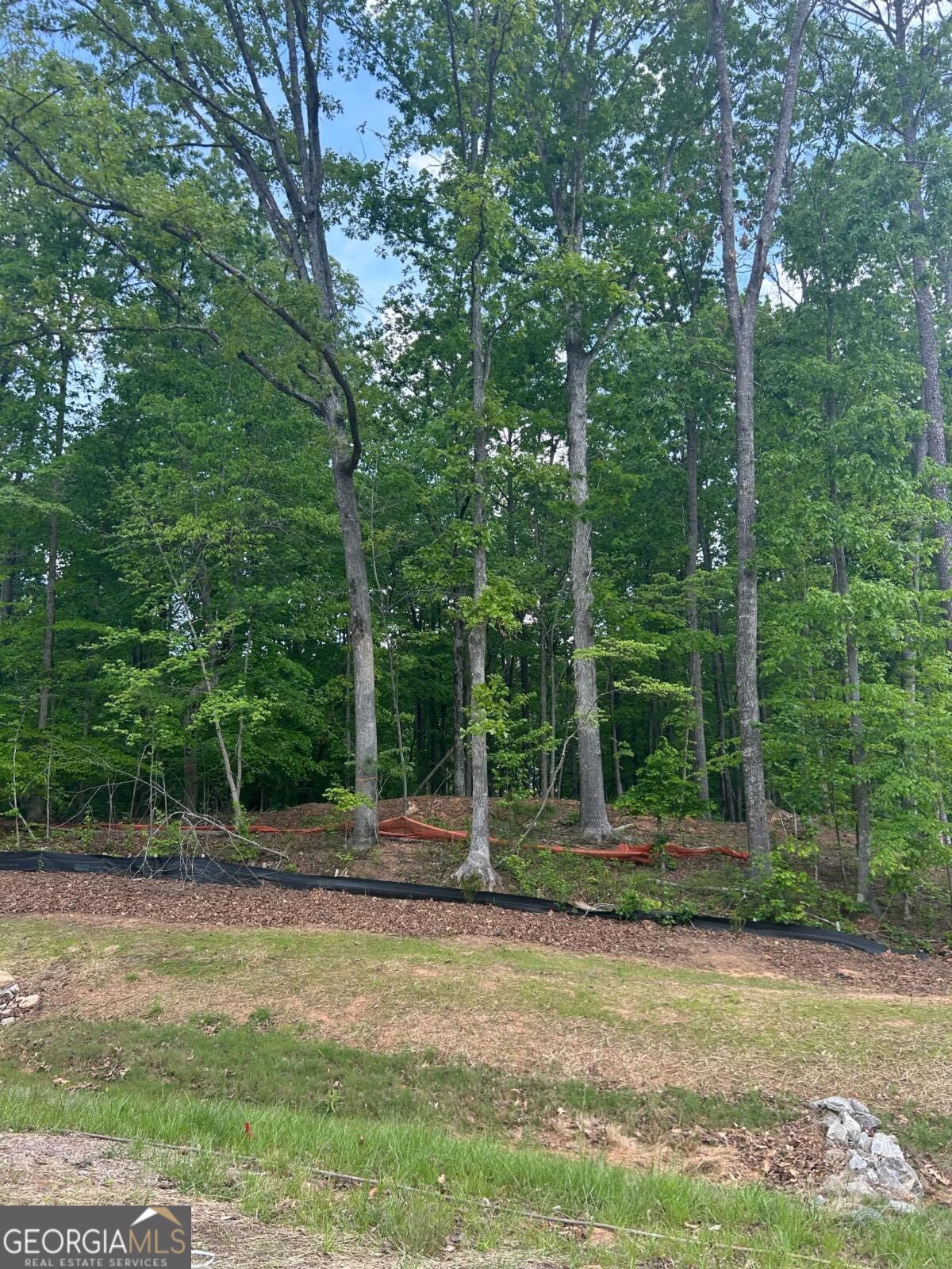240 Thompson Trail Property Photo 4