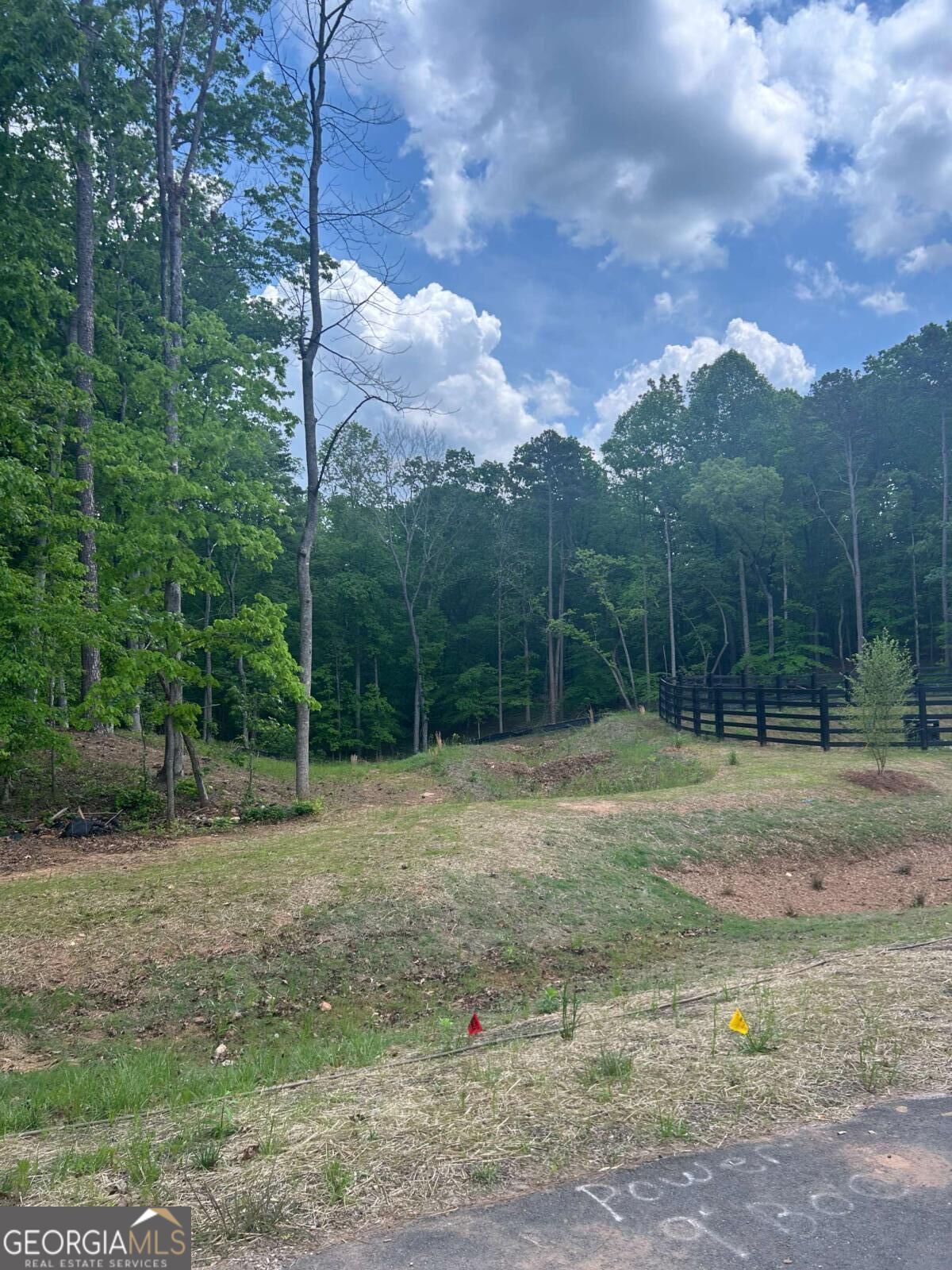 240 Thompson Trail Property Photo 5