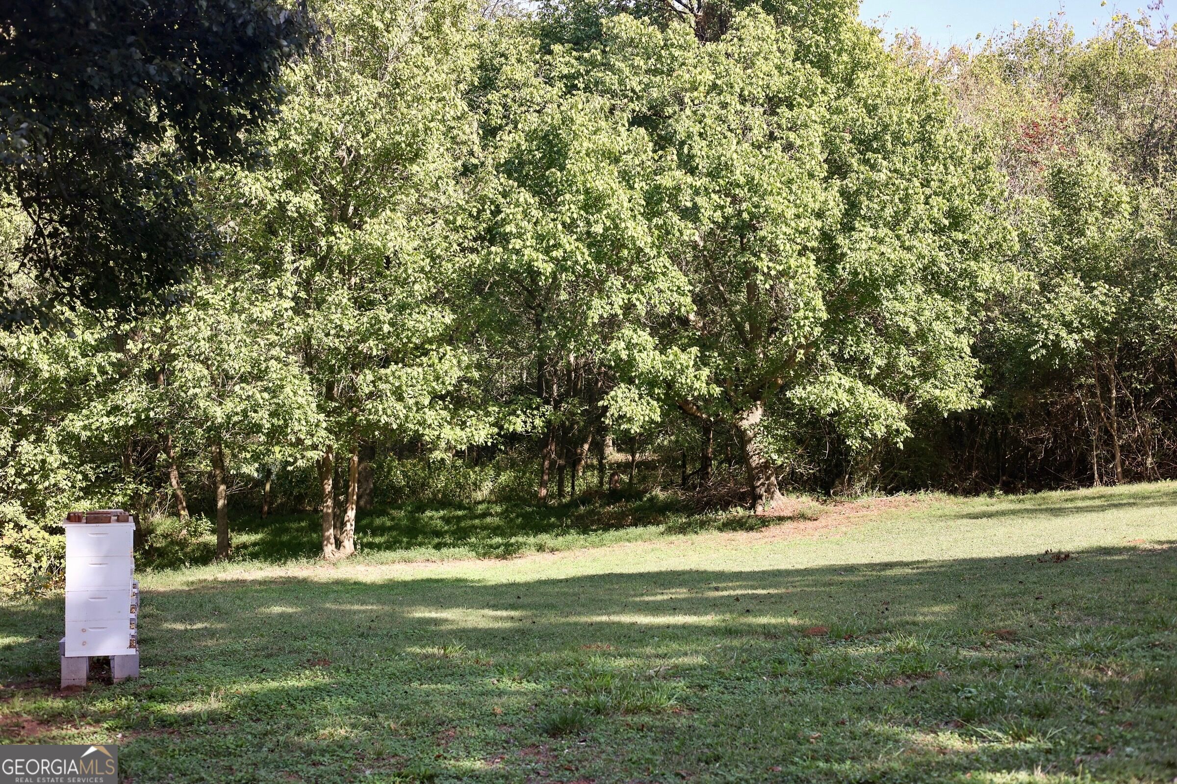 613 Chambers Road Property Photo 6