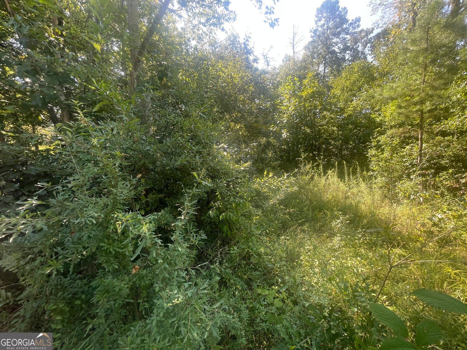 0 Apache Trail Property Photo 6