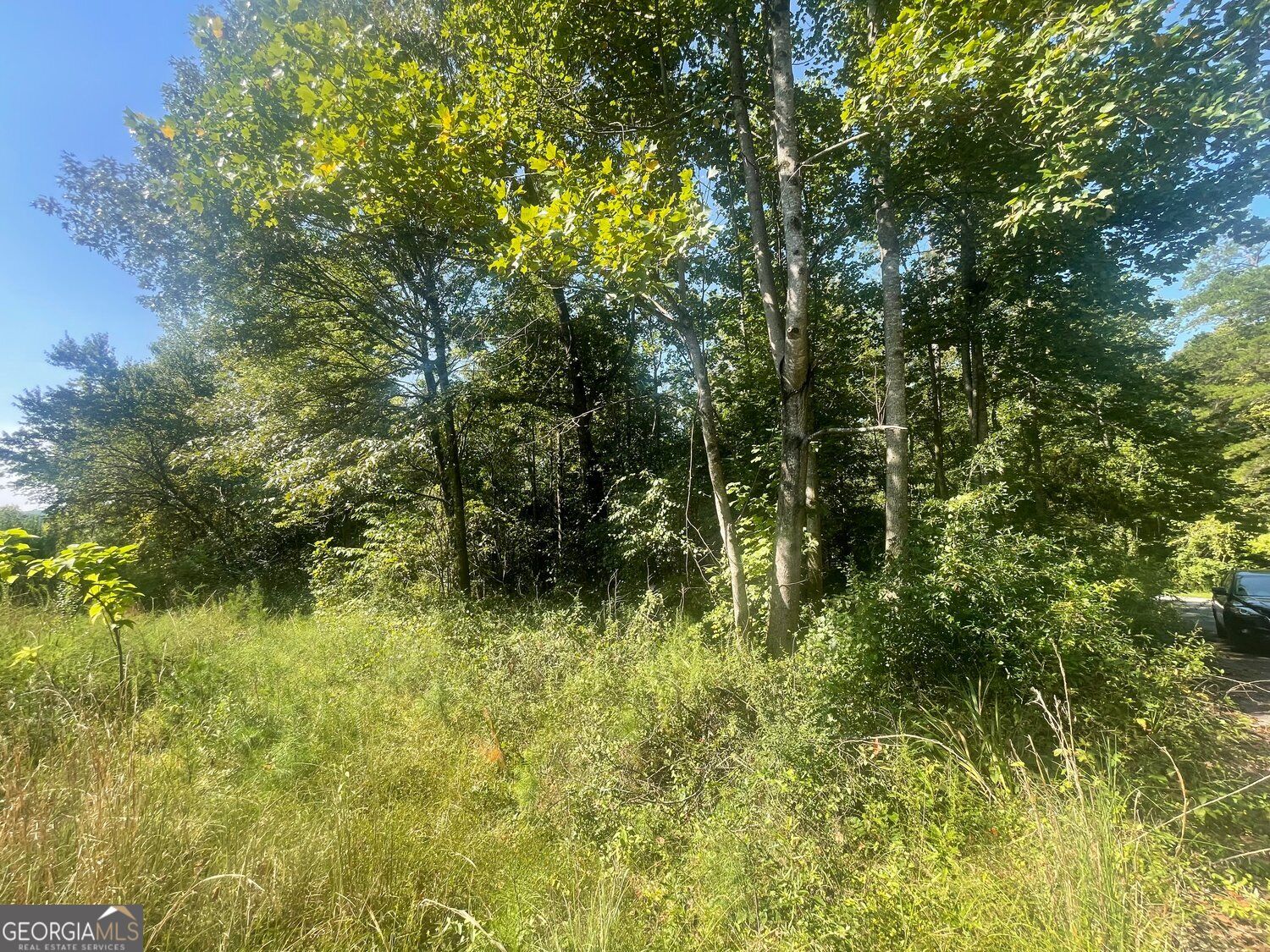 0 Apache Trail Property Photo 7