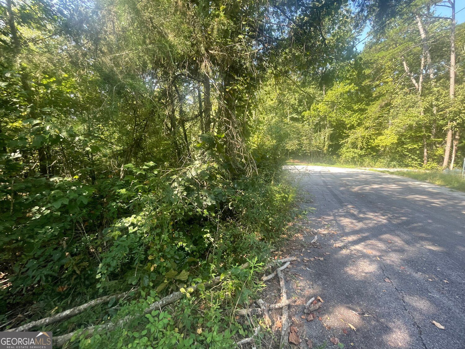 0 Apache Trail Property Photo 8