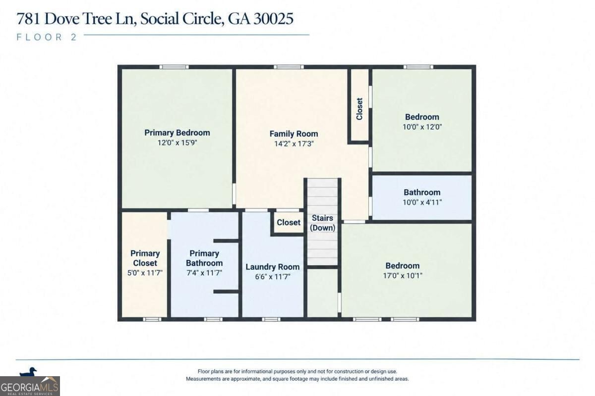 781 Dove Tree Lane Property Photo 39