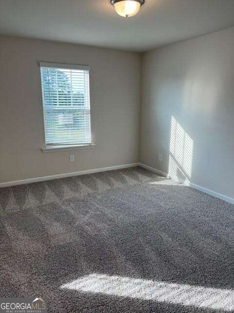 950 Sunny Lake Drive Property Photo 31