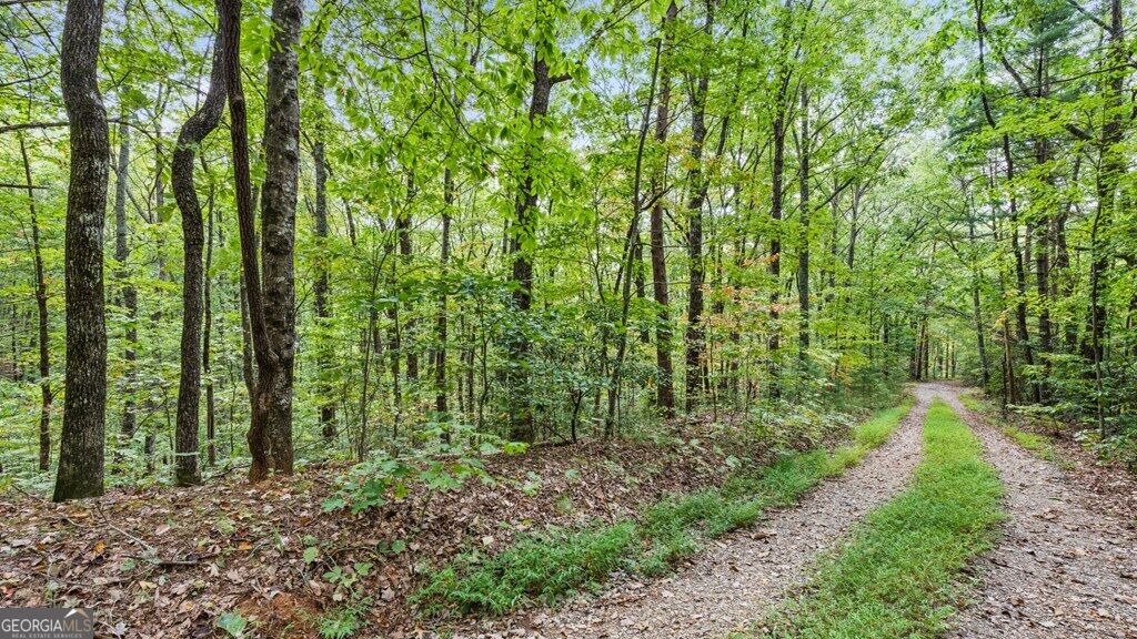 23 B Double Knob Property Photo 9