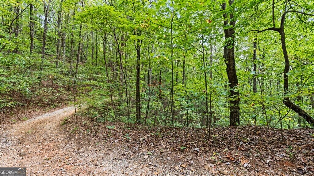 23 B Double Knob Property Photo 10