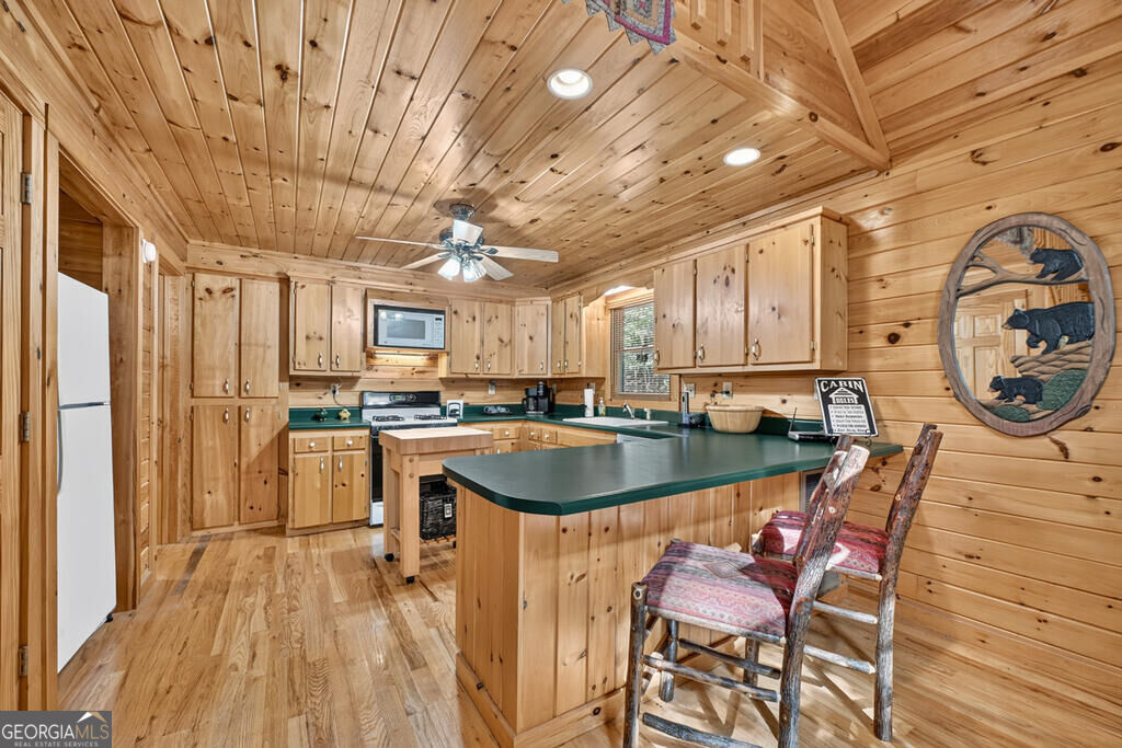 255 Blue Ridge Trails Property Photo 9