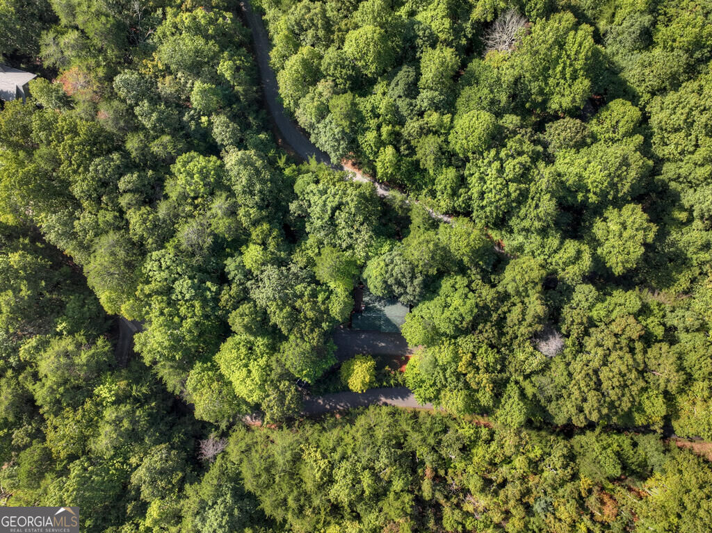 255 Blue Ridge Trails Property Photo 14