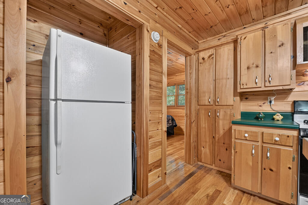 255 Blue Ridge Trails Property Photo 22