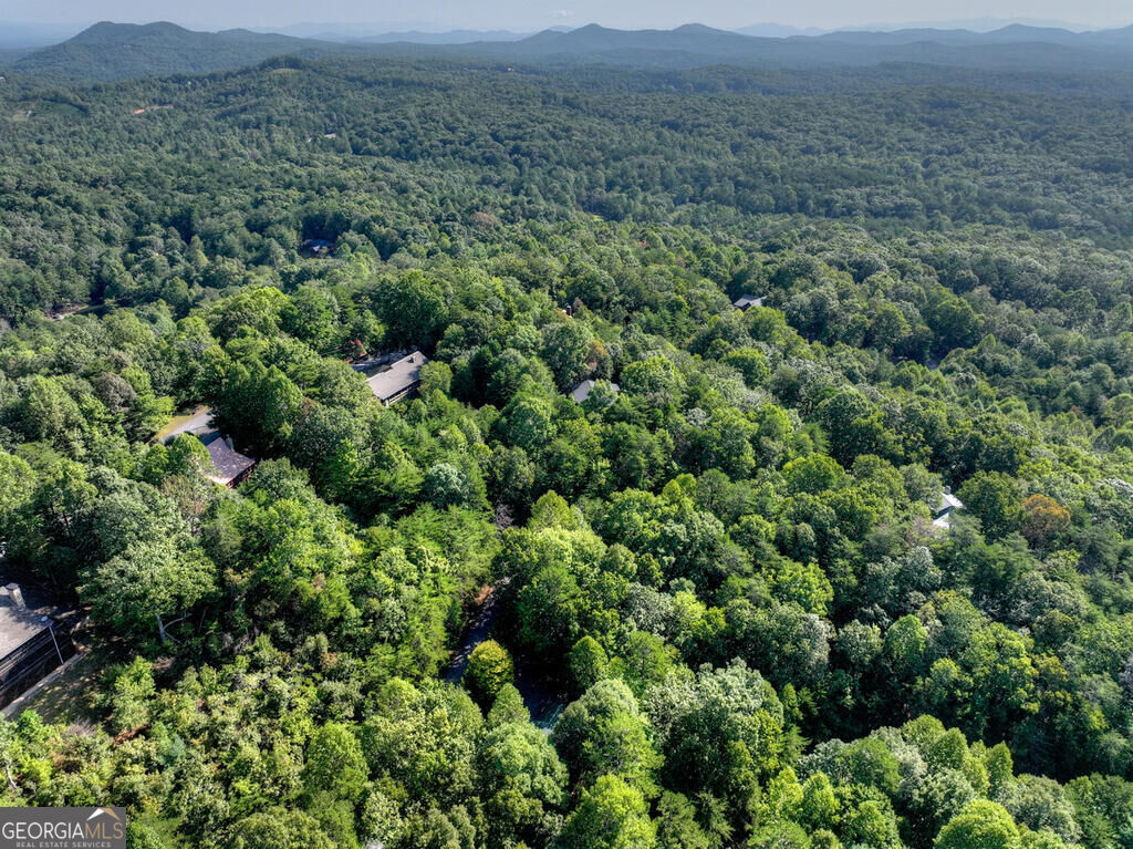 255 Blue Ridge Trails Property Photo 36