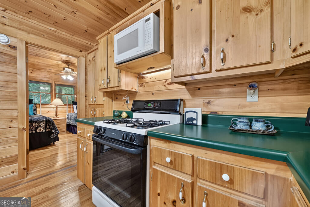 255 Blue Ridge Trails Property Photo 37