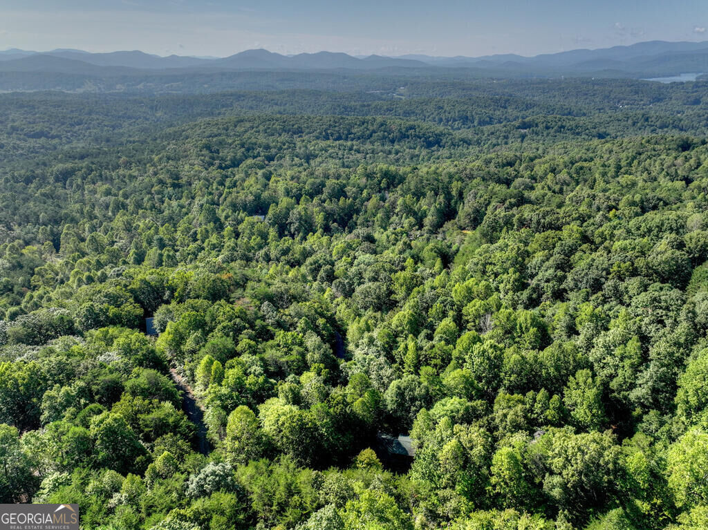 255 Blue Ridge Trails Property Photo 46