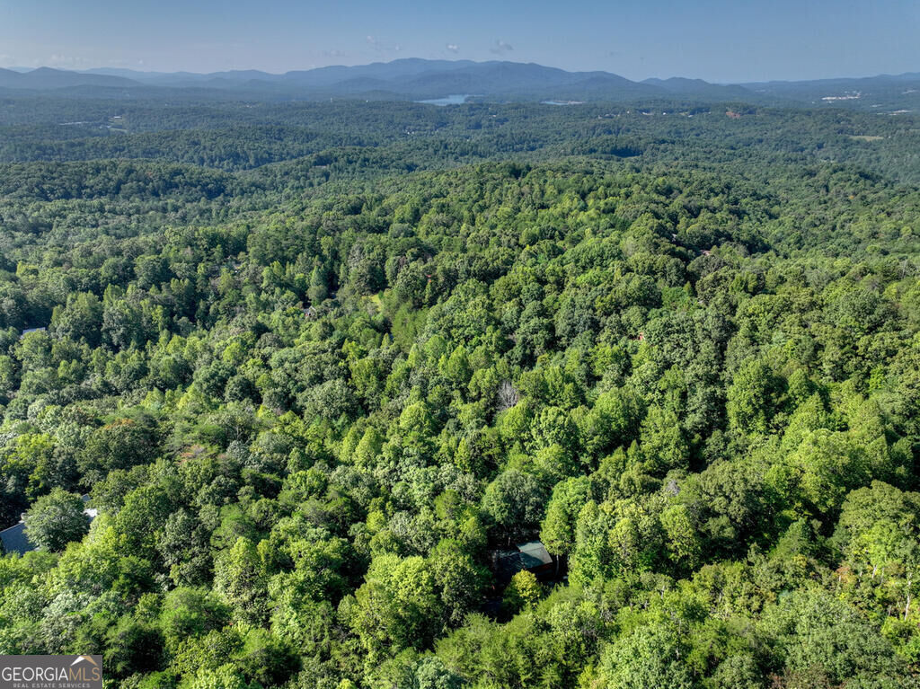 255 Blue Ridge Trails Property Photo 47