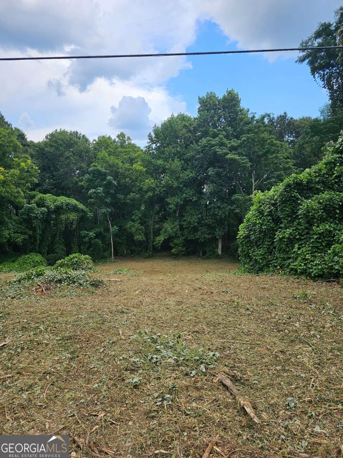0 Brookhaven Circle Property Photo 1