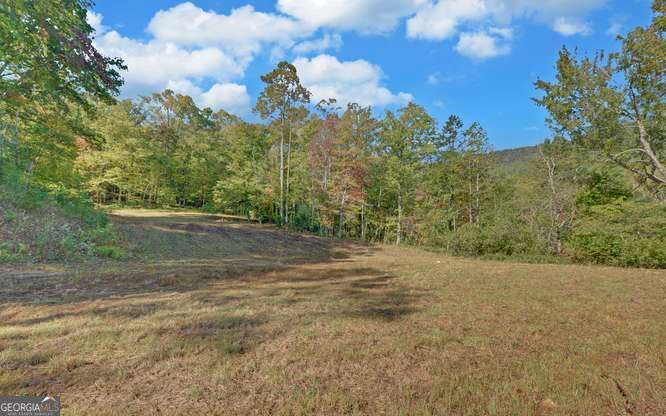 349 Old Ferguson Town Road Property Photo 4