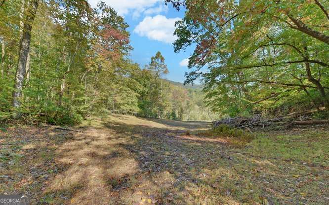 349 Old Ferguson Town Road Property Photo 5