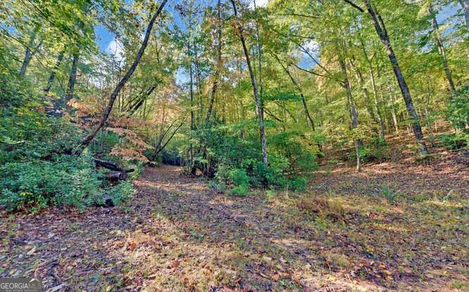 349 Old Ferguson Town Road Property Photo 6