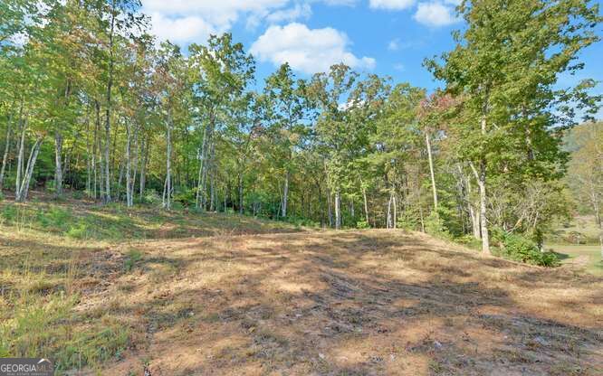 349 Old Ferguson Town Road Property Photo 8