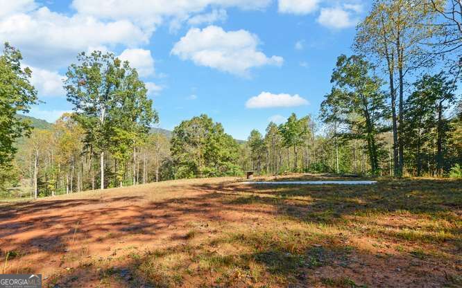 349 Old Ferguson Town Road Property Photo 9
