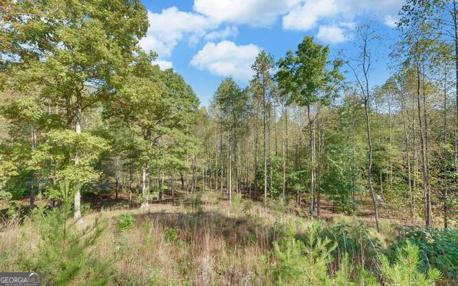 349 Old Ferguson Town Road Property Photo 10