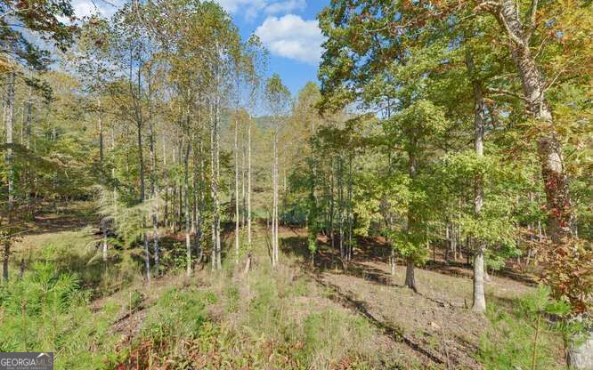 349 Old Ferguson Town Road Property Photo 11