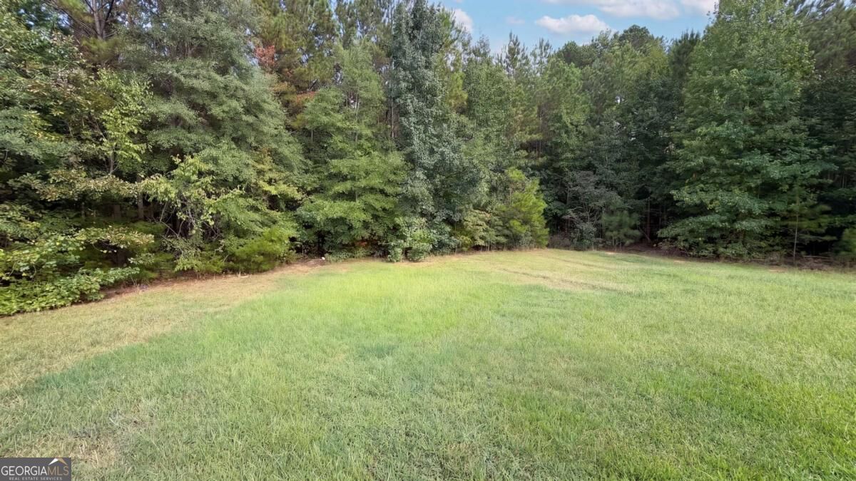 114 Beaty Court Property Photo 18