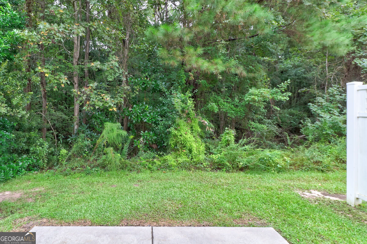 1118 Towne Park Drive Property Photo 30