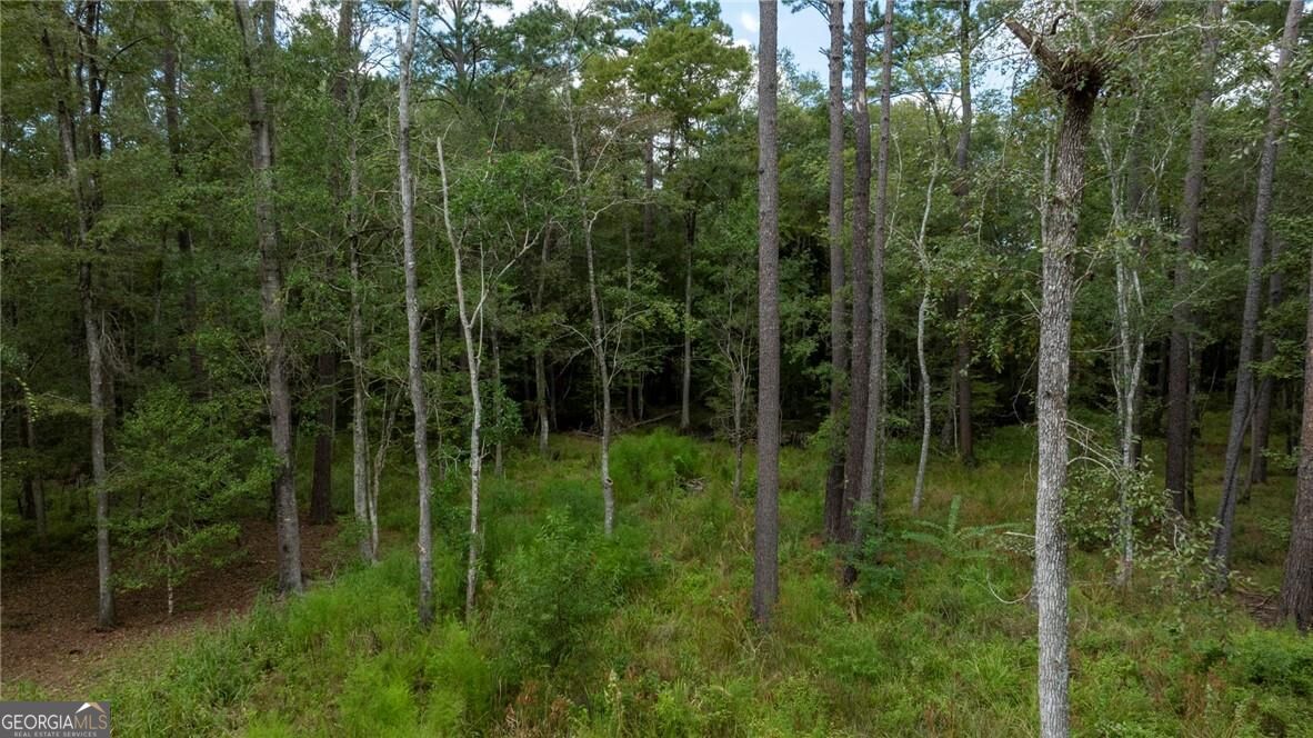 315 Polly Branch Drive Property Photo 27