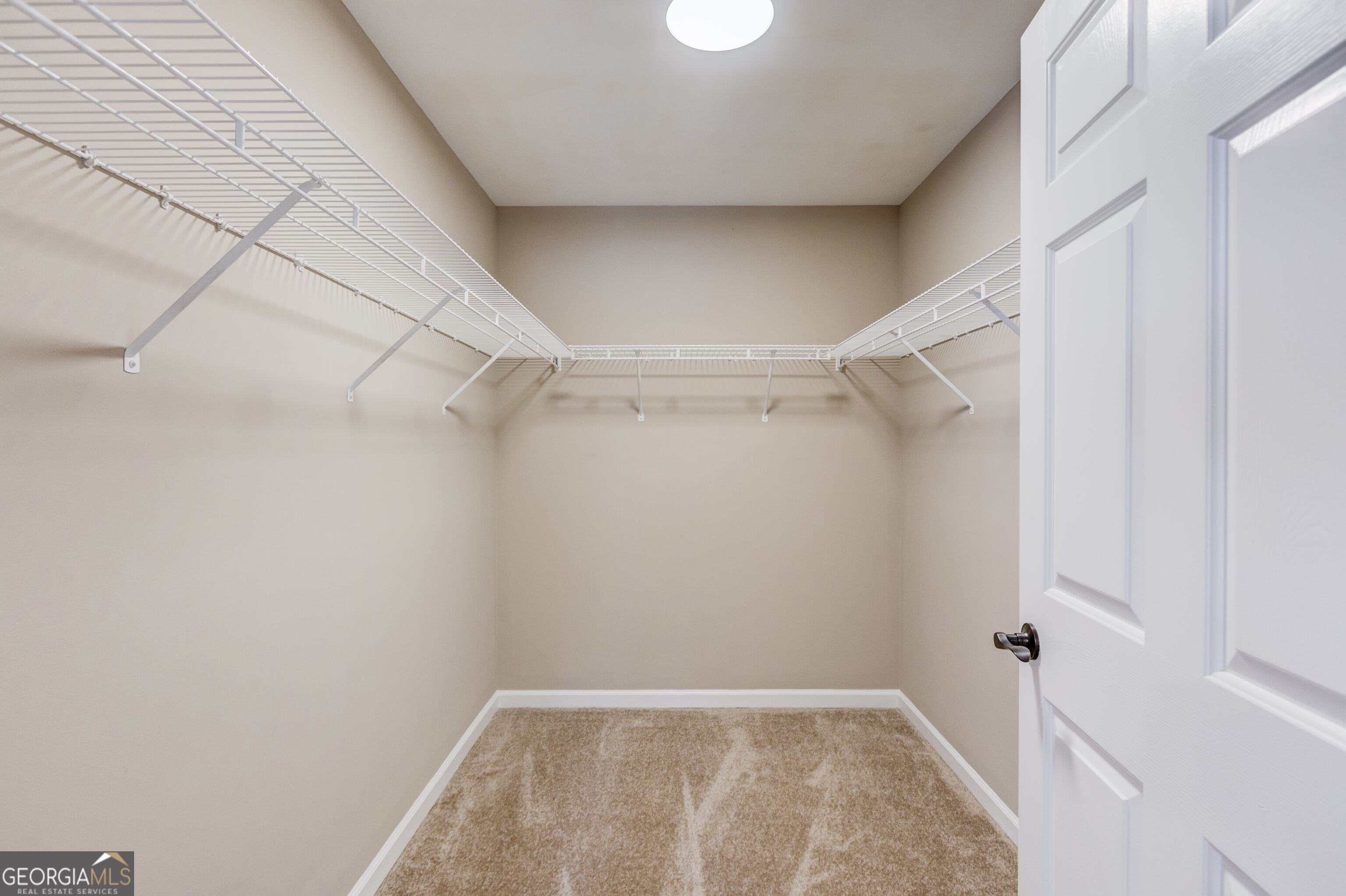 51 Alexander Street Property Photo 23
